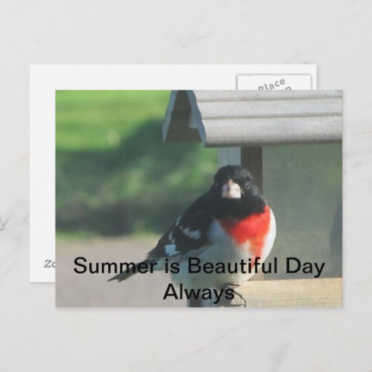 Summers Beautty Briefkaart (Voorkant / Achterkant)