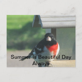Summers Beautty Briefkaart