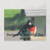 Summers Beautty Briefkaart (Voorkant)