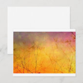 Summer's Gone Briefkaart (Voorkant / Achterkant)