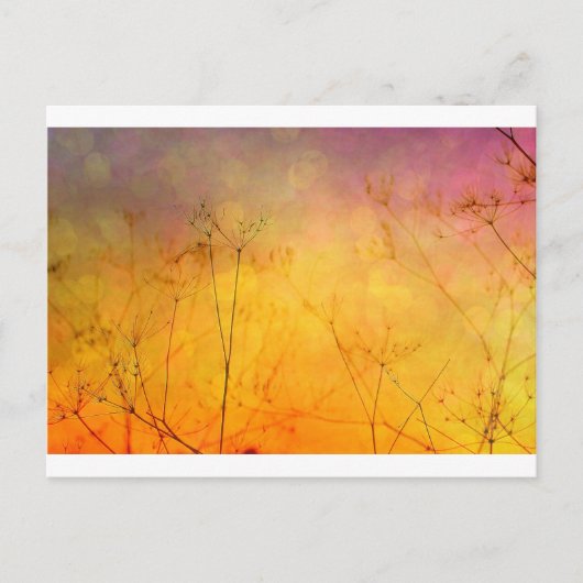 Summer's Gone Briefkaart (Voorkant)