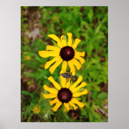 Summer's Heart beroemd gemaakt door Ken Gage Photo Poster