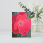 Summer's Red Rose CricketDiane Designer Briefkaart (Staand voorkant)
