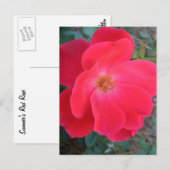 Summer's Red Rose CricketDiane Designer Briefkaart (Voorkant / Achterkant)