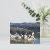Summersville Lake Briefkaart (Staand voorkant)