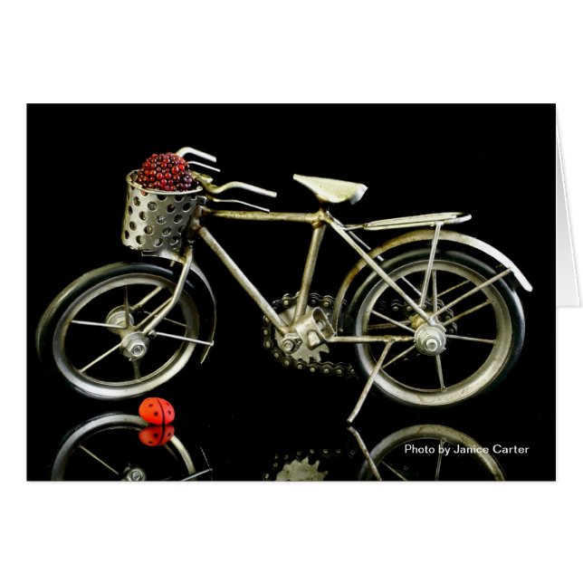 Summertime! (Voorkant Horizontaal)