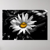 Summertime Beauty Poster (Voorkant)