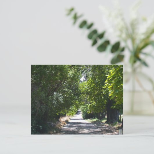 Summertime Briefkaart (Staand voorkant)