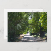 Summertime Briefkaart (Voorkant / Achterkant)