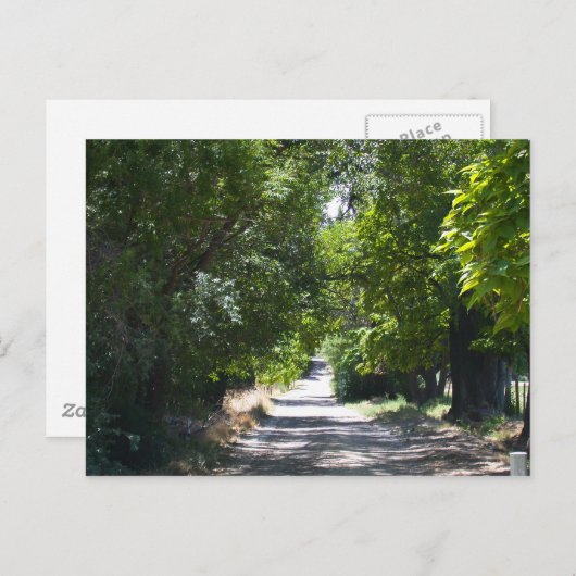 Summertime Briefkaart (Voorkant / Achterkant)