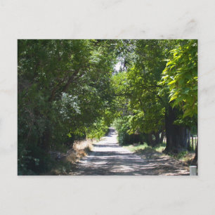 Summertime Briefkaart