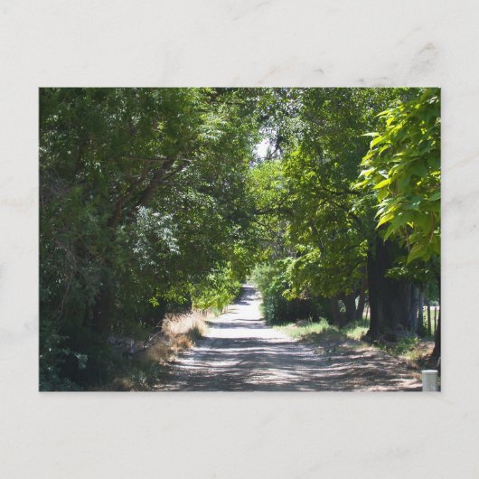 Summertime Briefkaart (Voorkant)