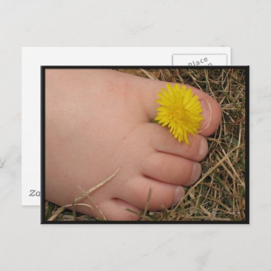 Summertime Briefkaart (Voorkant / Achterkant)