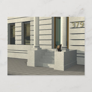 Summertime cat briefkaart