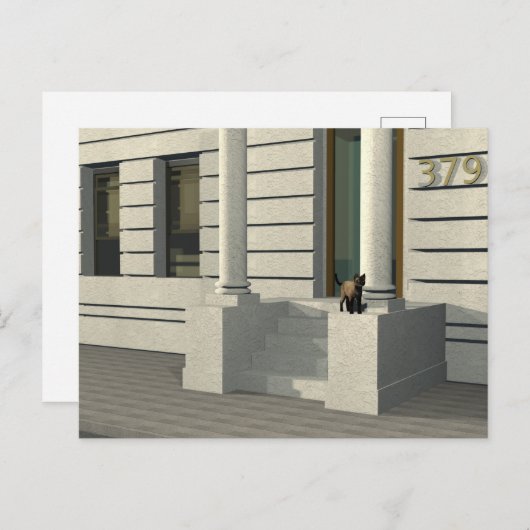 Summertime cat briefkaart (Voorkant / Achterkant)