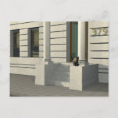 Summertime cat briefkaart (Voorkant)