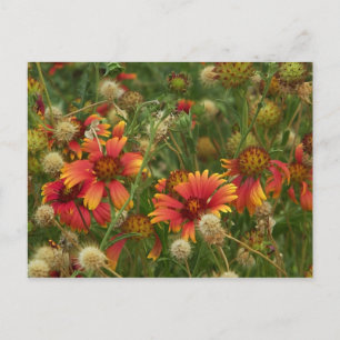 Summertime Floral briefkaart