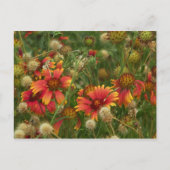 Summertime Floral briefkaart (Voorkant)