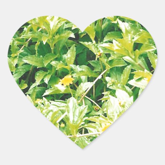 Summertime Flowers en Planten Hart Sticker (Voorkant)