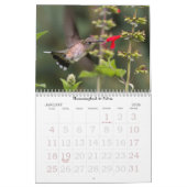 Summertime Garden Calendar Kalender (Jan 2026)