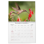 Summertime Garden Calendar Kalender (Mar 2026)