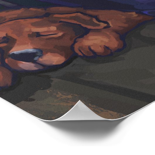 Summertime lezen poster (Hoek)