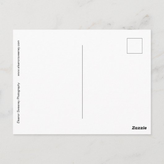 "Summertime", nog steeds leven met flesje en citru Briefkaart (Achterkant)