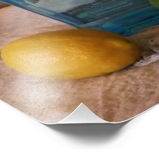 "Summertime", nog steeds leven met flesje en citru Foto Afdruk (Hoek)