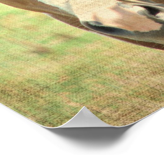 Summertime Shade Poster (Hoek)