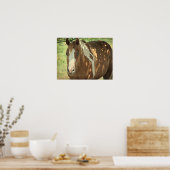 Summertime Shade Poster (Keuken)