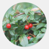 Summertime Sticker (Voorkant)