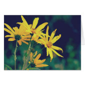 Summertime Wildbloemen (Voorkant Horizontaal)