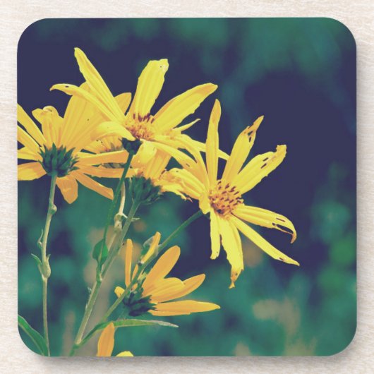 Summertime Wildbloemen Bier Onderzetter (Voorkant)