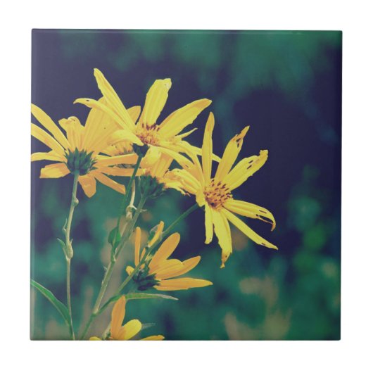 Summertime Wildbloemen Tegeltje (Voorkant)