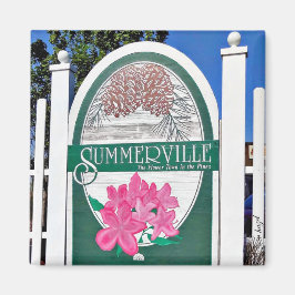 Summerville, Charleston, South Carolina, Magnet