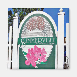 Summerville, Charleston, South Carolina, Magnet