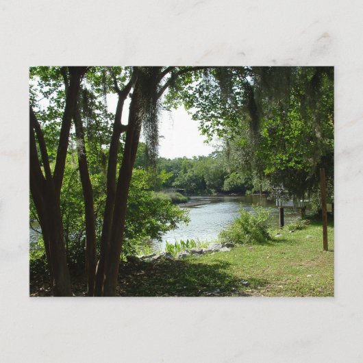 Summerville, SC Briefkaart (Voorkant)