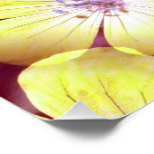 Summery Gellow.... Poster (Hoek)