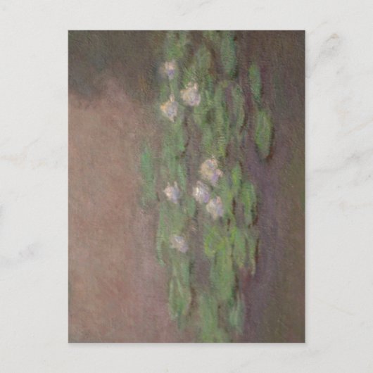 Summiere monet, dichtslibben van waterlelie, één v briefkaart (Voorkant)