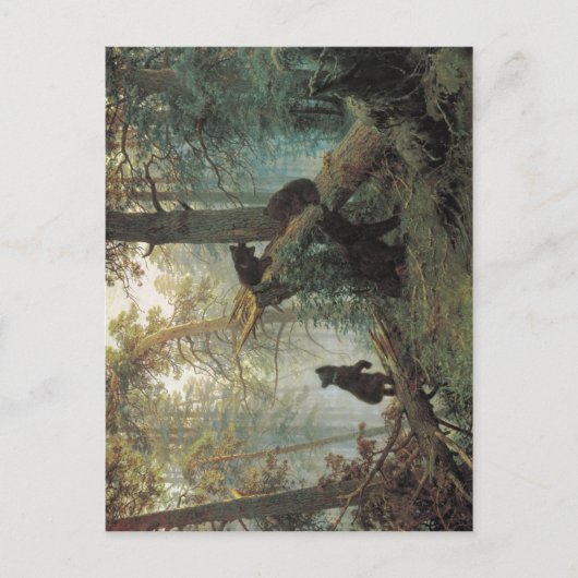 Summiere Schischkin, Iwan Iwanowitsch Savitsky, Ko Briefkaart (Voorkant)