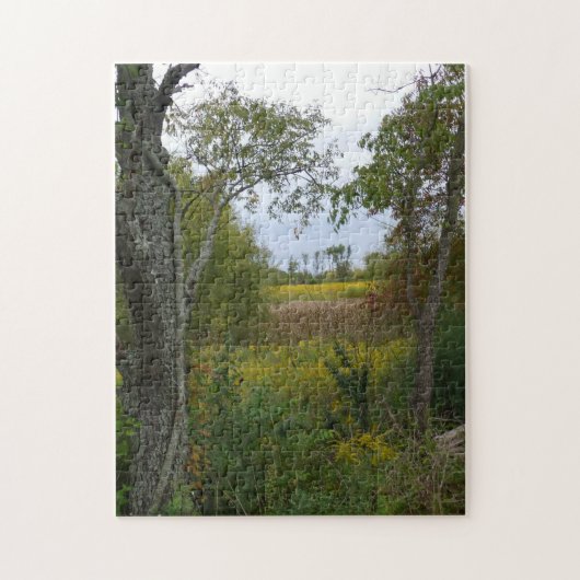 Summit Lake Prairie Trail Legpuzzel (Verticaal)