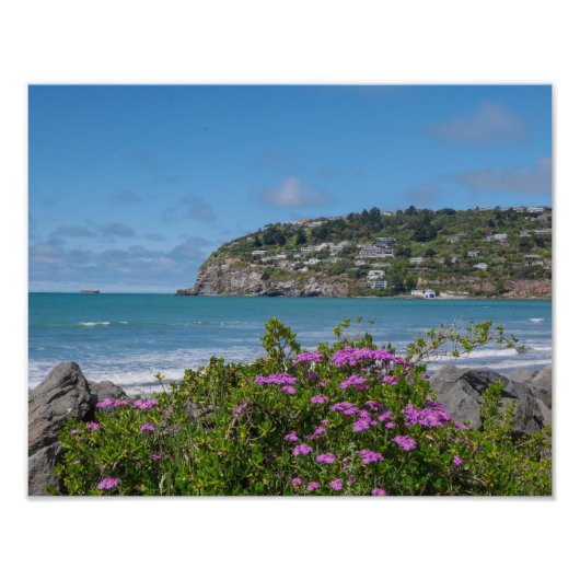 Sumner Beach, ChristChurch - Foto afdrukken (Voorkant)
