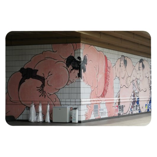 Sumo Mural Wall Art Magneet (Horizontaal)