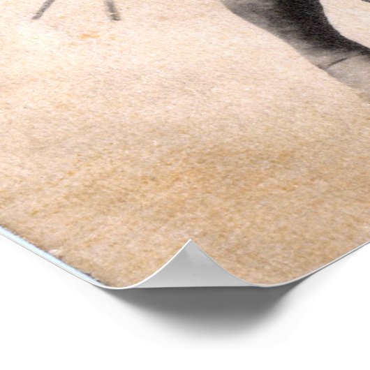 Sumo Wrestlers Poster (Hoek)