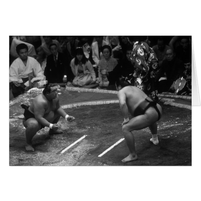 SUMO Wrestling (Voorkant Horizontaal)