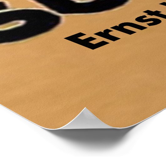 SUMURUN~Ernst Lubitsch ~ Pola Negri ~ Duitsland 19 Poster (Hoek)