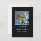 Sun and White Roses Celebration of Life Invitation Kaart (Voorkant)