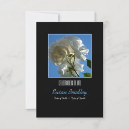 Sun and White Roses Celebration of Life Invitation Kaart