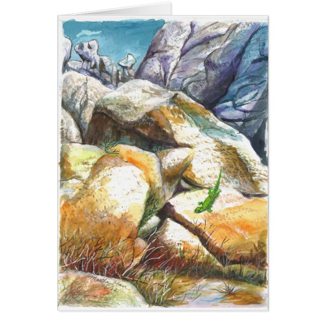 Sun bading Gecko (Voorkant)