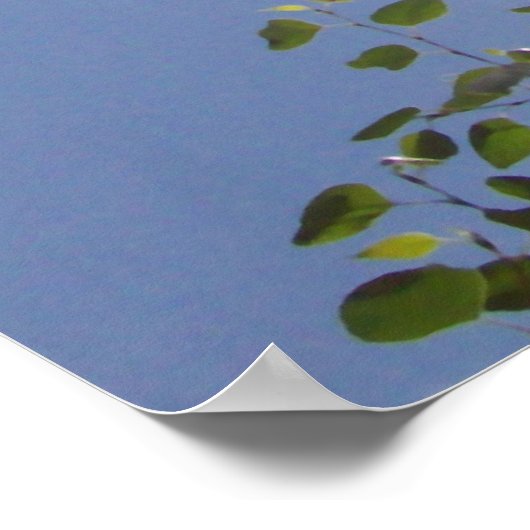 Sun Beam en Clouds Poster (Hoek)